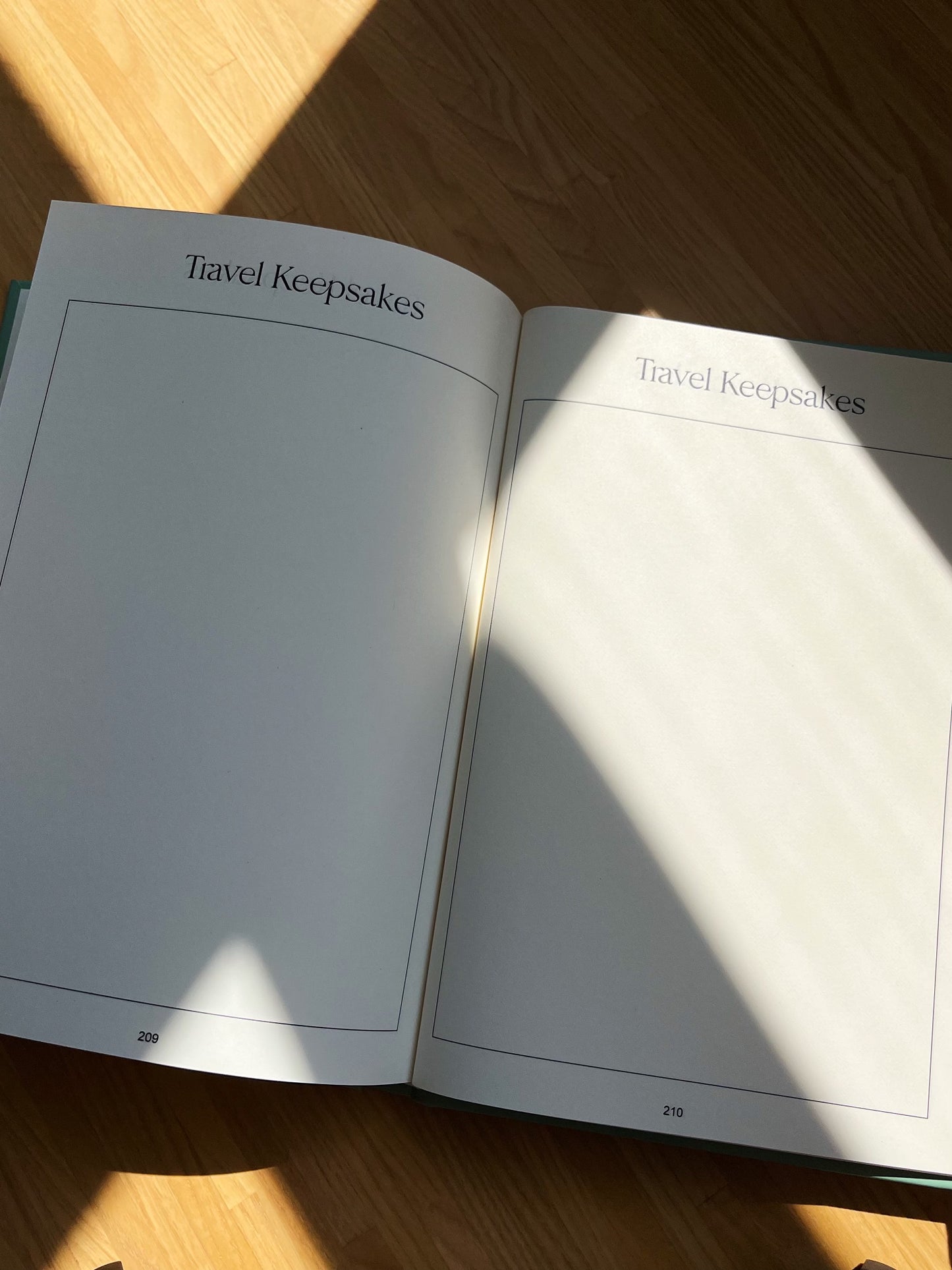 The Express Travel Journal - 3 Month Paperback